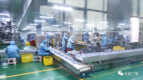 河北省農產品加工業發展大會滄縣分會場在滄州美棗王食品舉辦，物流軟件技術開發賦能產業升級